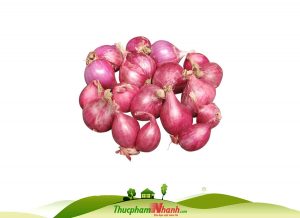 Hành tím củ Lý Sơn