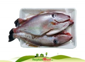 Cá da bò biển tươi làm sạch cấp đông