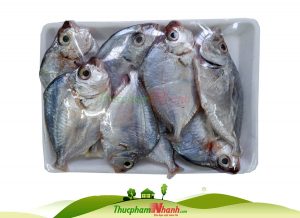 Cá liệt biển tươi làm sạch cấp đông