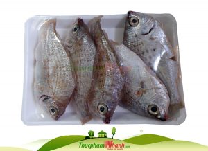 Cá móm biển tươi làm sạch cấp đông