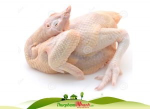 Gà ta nguyên con đông lạnh CP