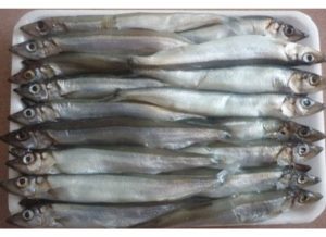 cá trứng đông lạnh nhập khẩu