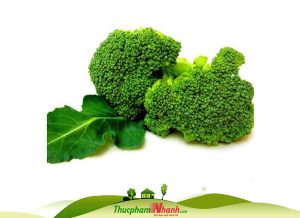 Bông cải xanh Baby