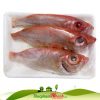 Cá sơn thóc (bac trầu) biển tươi làm sạch cấp đông - 500g