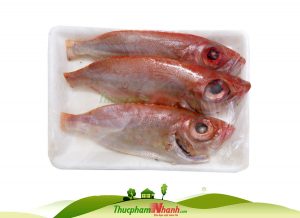 Cá sơn thóc (bac trầu) biển tươi làm sạch cấp đông - 500g