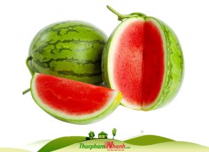 Dưa hấu không hạt