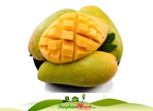 Xoài cát Hòa Lộc