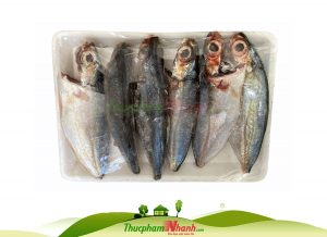 Ca Chao Trao Bien Lam Sach Cap Dong