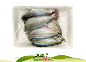 Ca Chi Vang Bien Lam Sach Cap Dong